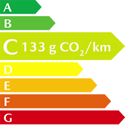 c 133g