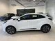 Image supplémentaire représentant le véhicule d'occasion Ford Puma